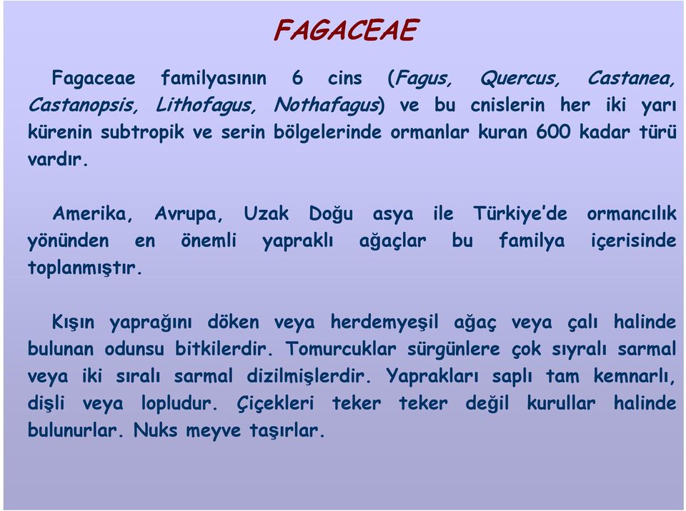 Amerika, Avrupa, Uzak Doğu asya ile Türkiye de ormancılık yönünden en önemli yapraklı ağaçlar bu familya içerisinde toplanmıştır.