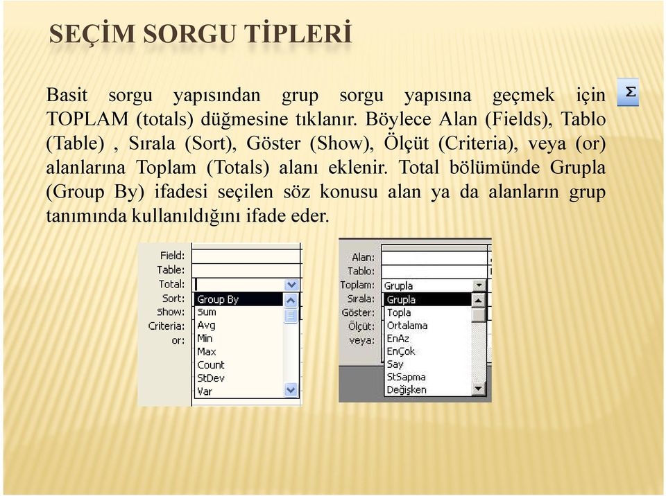Böylece Alan (Fields), Tablo (Table), Sırala (Sort), Göster (Show), Ölçüt (Criteria), veya (or)