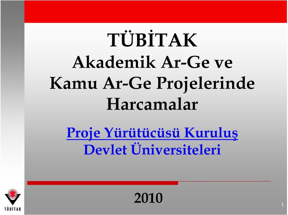 Harcamalar Proje Yürütücüsü