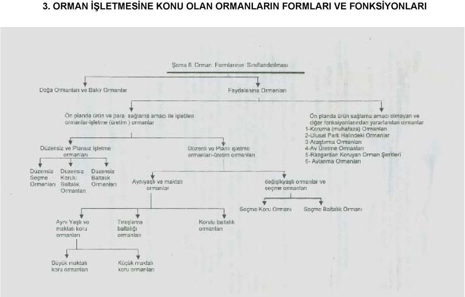 OLAN ORMANLARIN