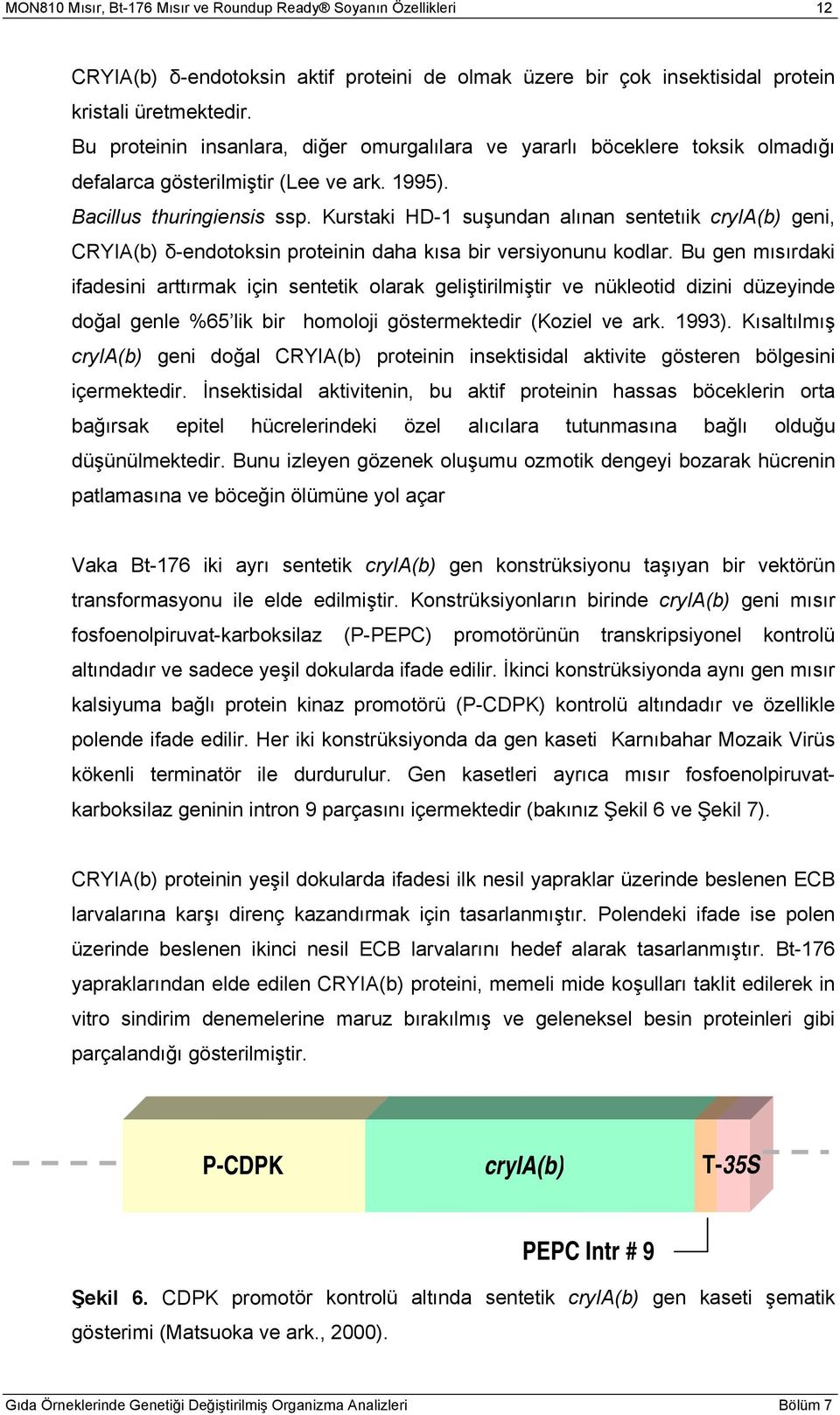 Kurstaki HD-1 suşundan alınan sentetıik cryia(b) geni, CRYIA(b) δ-endotoksin proteinin daha kısa bir versiyonunu kodlar.