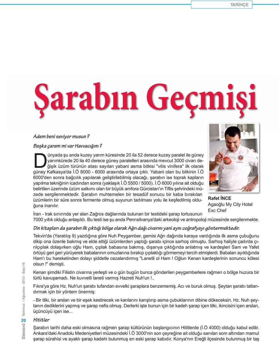 asma bitkisi "vitis vinifera" ilk olarak güney Kafkasya'da İ.Ö 8000-6000 arasında ortaya çıktı. Yabani olan bu bitkinin İ.