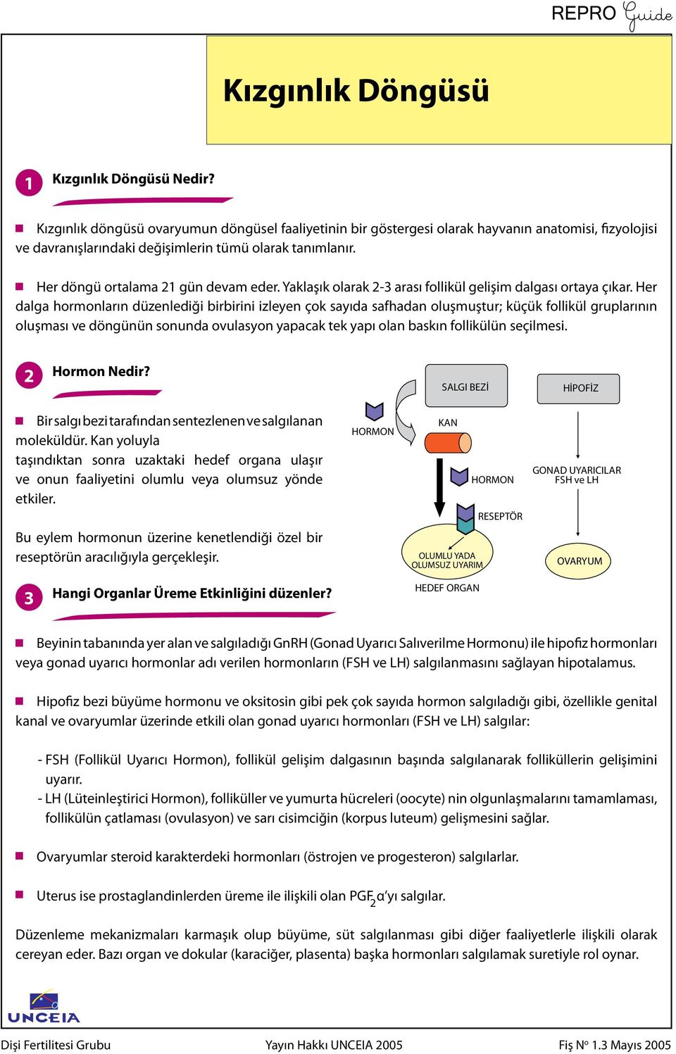 Yaklaşık olarak 2-3 arası follikül gelişim dalgası ortaya çıkar.