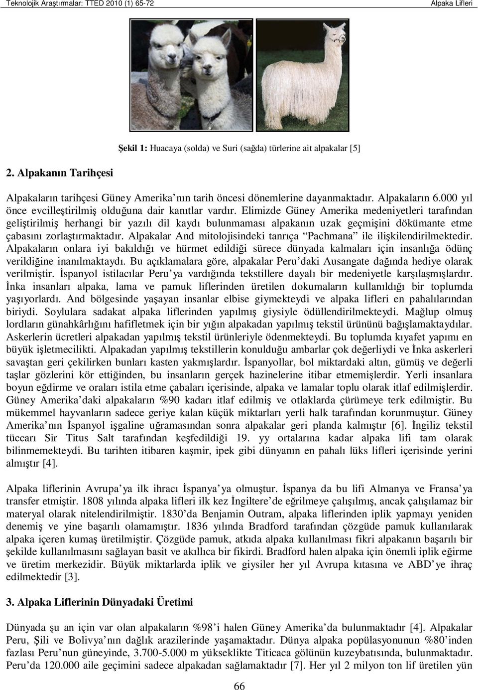 Elimizde Güney Amerika medeniyetleri tarafından geliştirilmiş herhangi bir yazılı dil kaydı bulunmaması alpakanın uzak geçmişini dökümante etme çabasını zorlaştırmaktadır.