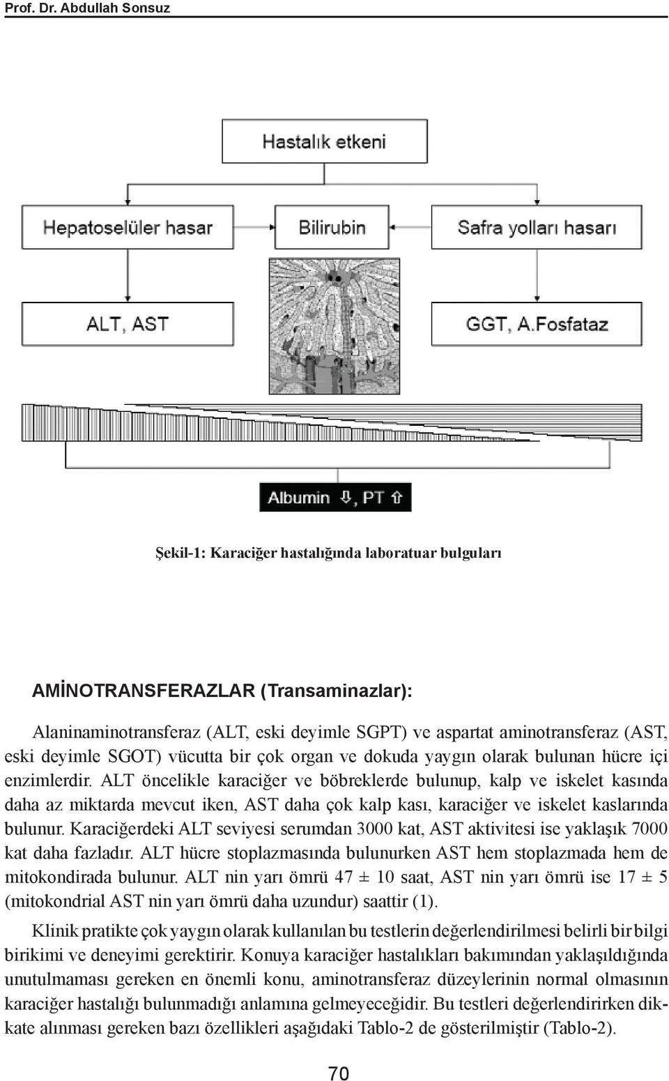 SGOT) vücutta bir çok organ ve dokuda yaygın olarak bulunan hücre içi enzimlerdir.