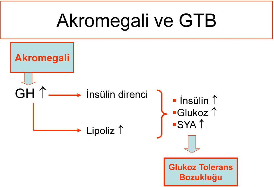 direnci Lipoliz İnsülin