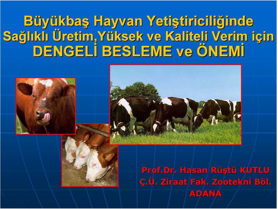 içini in DENGELİ BESLEME ve ÖNEMİ Prof.Dr.