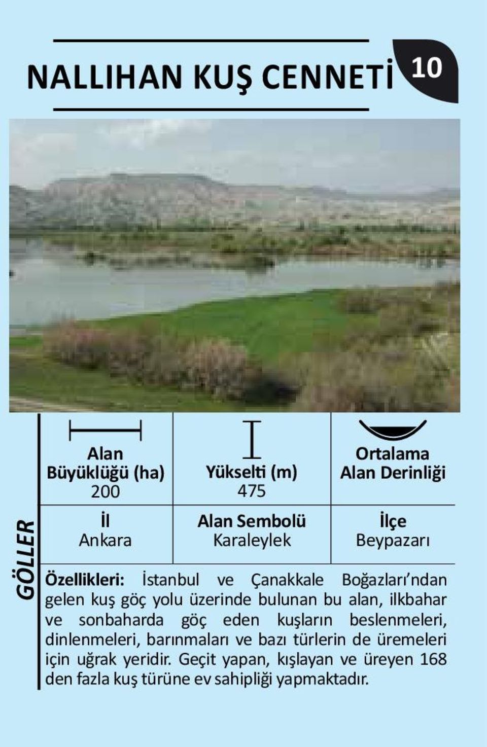 göç eden kuşların beslenmeleri, dinlenmeleri, barınmaları ve bazı türlerin de üremeleri için