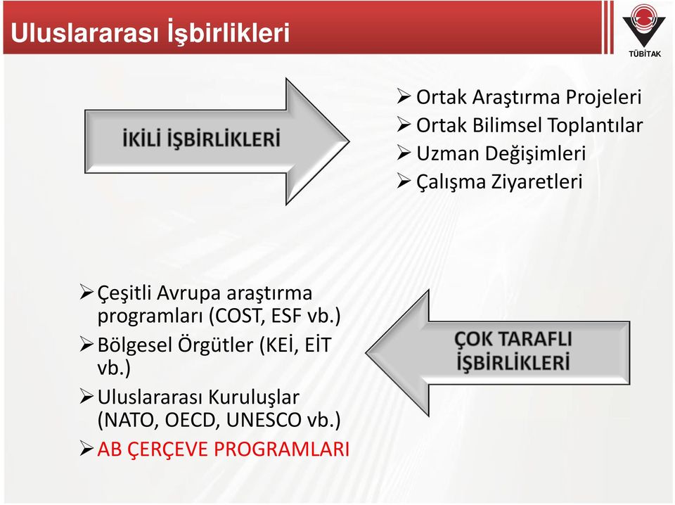 araştırma programları (COST, ESF vb.) Bölgesel Örgütler (KEİ, EİT vb.