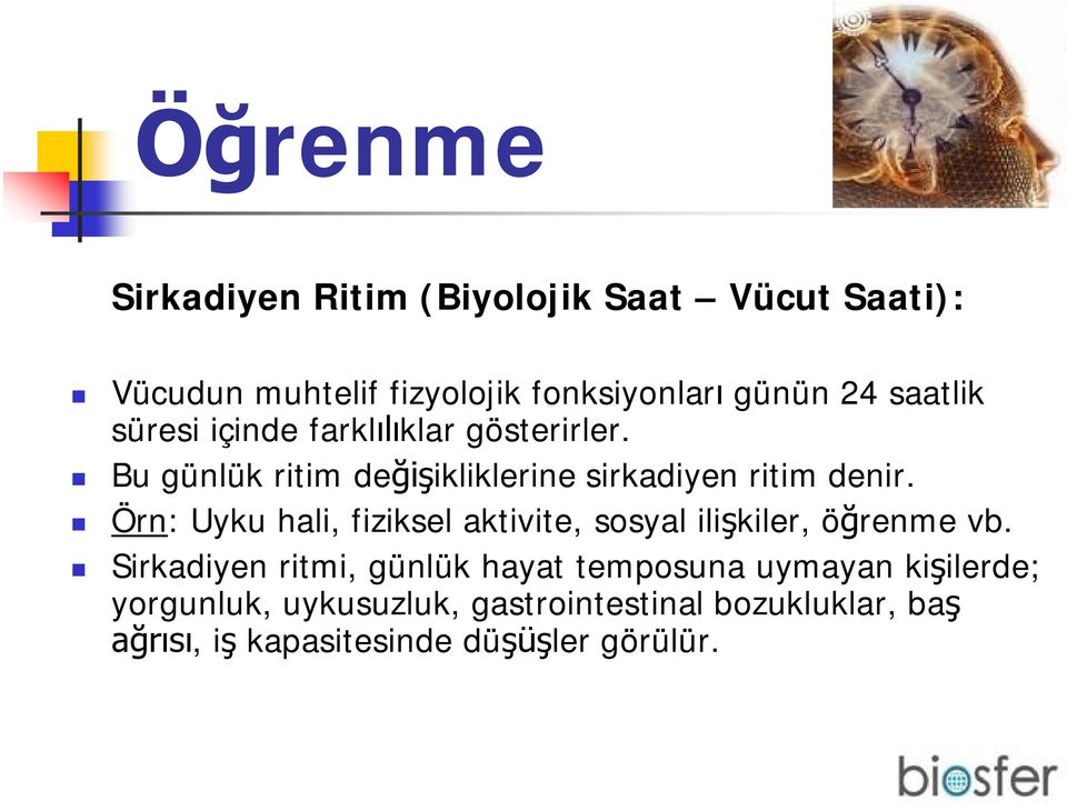 Örn: Uyku hali, fiziksel aktivite, sosyal ilişkiler, öğrenme vb.