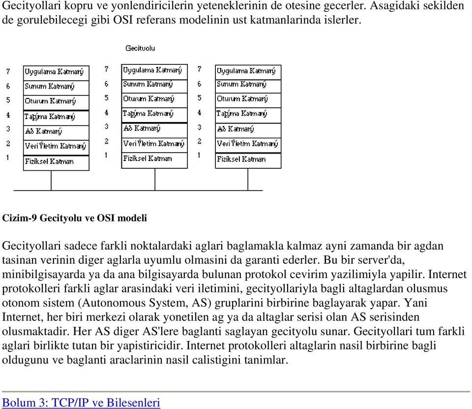 Bu bir server'da, minibilgisayarda ya da ana bilgisayarda bulunan protokol cevirim yazilimiyla yapilir.