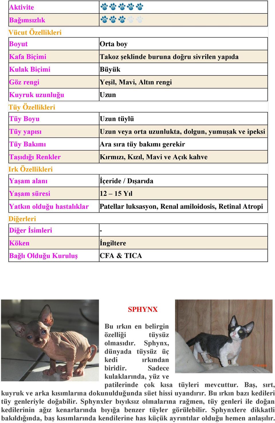 alanı İçeride / Dışarıda Yaşam süresi 12 15 Yıl Yatkın olduğu hastalıklar Patellar luksasyon, Renal amiloidosis, Retinal Atropi Diğerleri Diğer İsimleri - Köken İngiltere Bağlı Olduğu Kuruluş CFA &