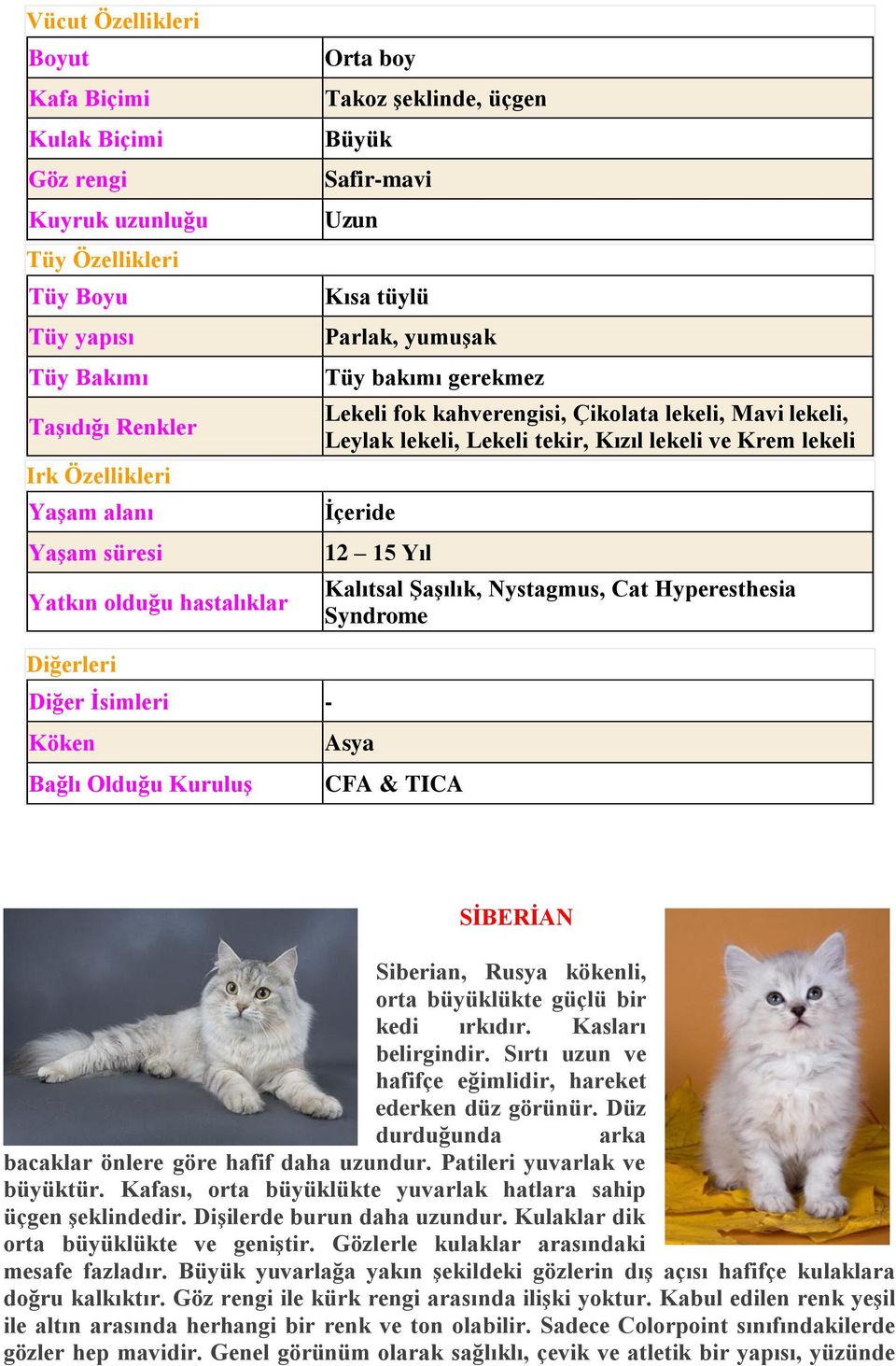 lekeli İçeride 12 15 Yıl Kalıtsal Şaşılık, Nystagmus, Cat Hyperesthesia Syndrome Diğerleri Diğer İsimleri - Köken Asya Bağlı Olduğu Kuruluş CFA & TICA SİBERİAN Siberian, Rusya kökenli, orta