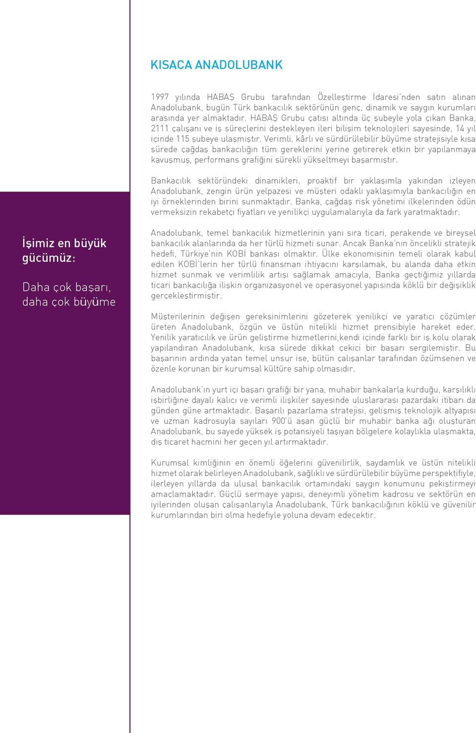 Verimli, kârlı ve sürdürülebilir büyüme stratejisiyle kısa sürede çağdaş bankacılığın tüm gereklerini yerine getirerek etkin bir yapılanmaya kavuşmuş, performans grafiğini sürekli yükseltmeyi