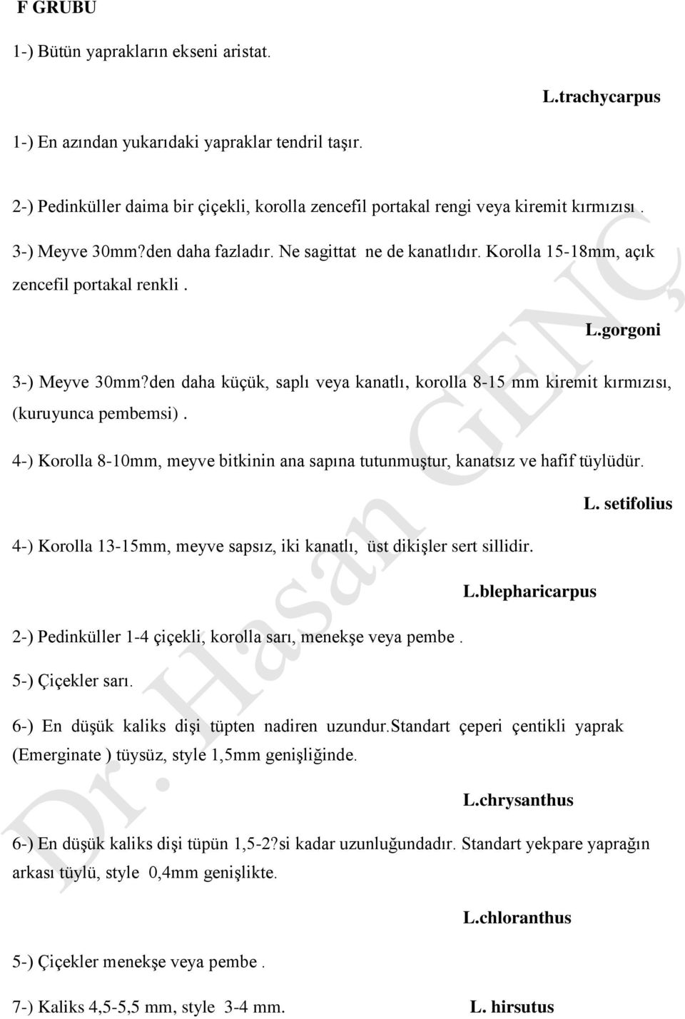 Korolla 15-18mm, açık zencefil portakal renkli. L.gorgoni 3-) Meyve 30mm?den daha küçük, saplı veya kanatlı, korolla 8-15 mm kiremit kırmızısı, (kuruyunca pembemsi).