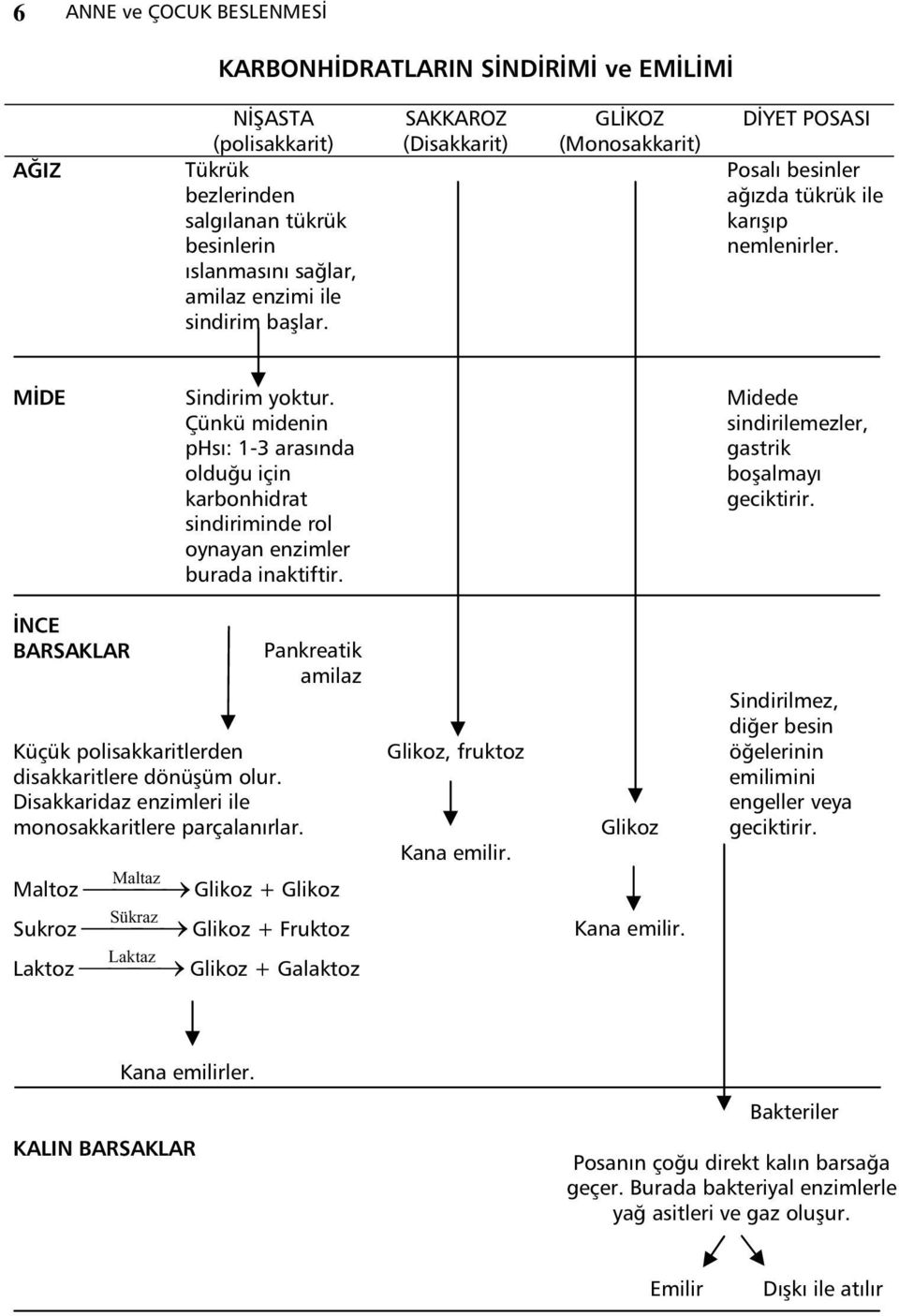 Çünkü midenin phs : 1-3 aras nda oldu u için karbonhidrat sindiriminde rol oynayan enzimler burada inaktiftir. Midede sindirilemezler, gastrik bo almay geciktirir.