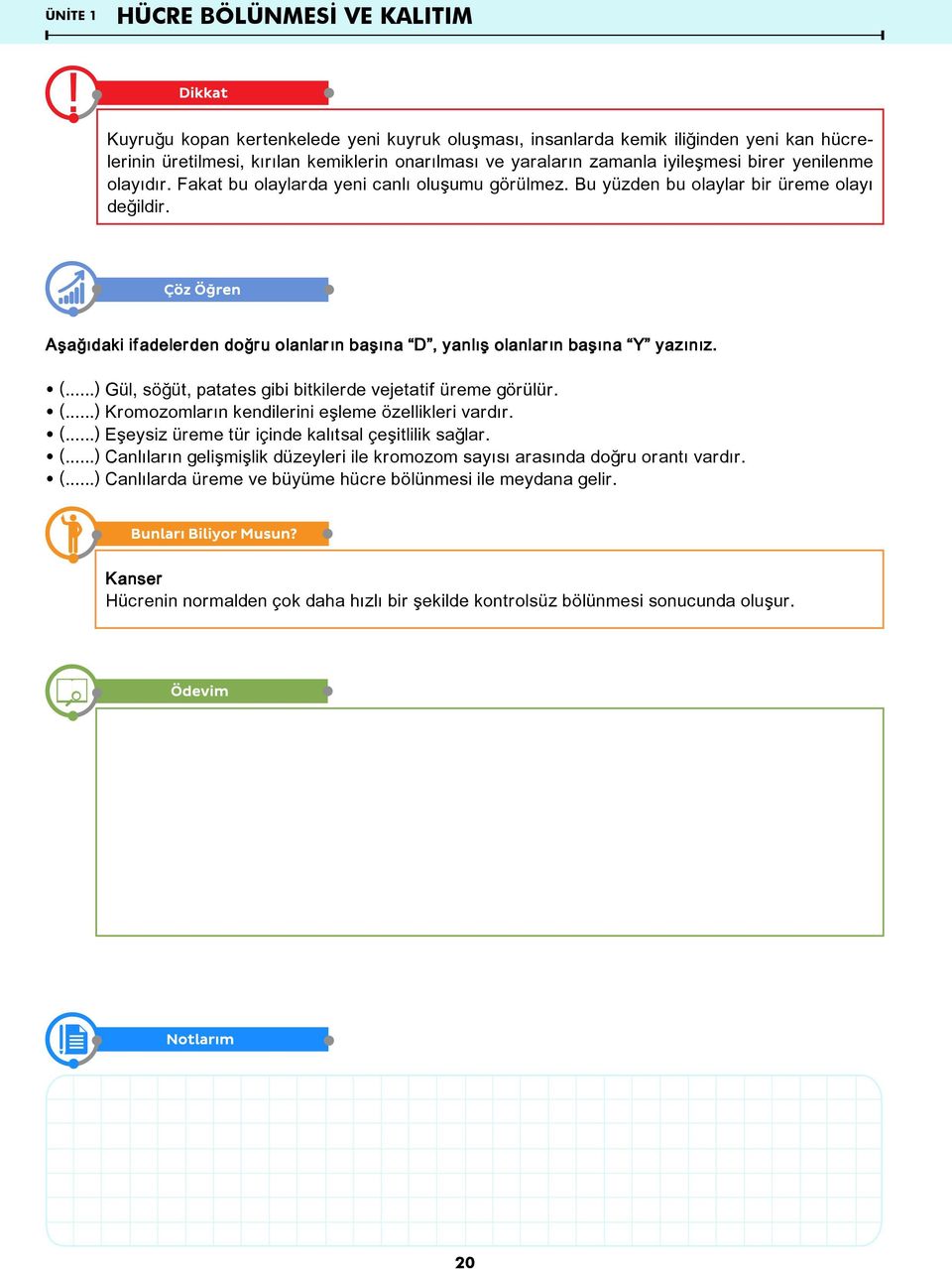 Aşağıdaki ifadelerden doğru olanların başına D, yanlış olanların başına Y yazınız. œ (...) Gül, söğüt, patates gibi bitkilerde vejetatif üreme görülür. œ (...) Kromozomların kendilerini eşleme özellikleri vardır.