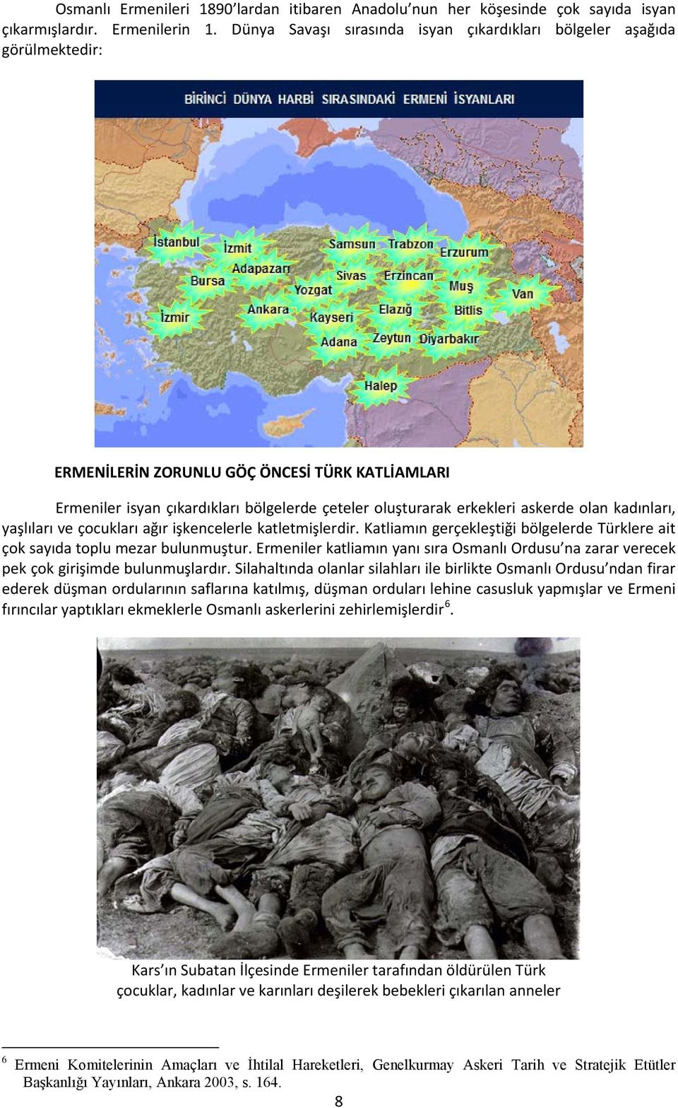 olan kadınları, yaşlıları ve çocukları ağır işkencelerle katletmişlerdir. Katliamın gerçekleştiği bölgelerde Türklere ait çok sayıda toplu mezar bulunmuştur.