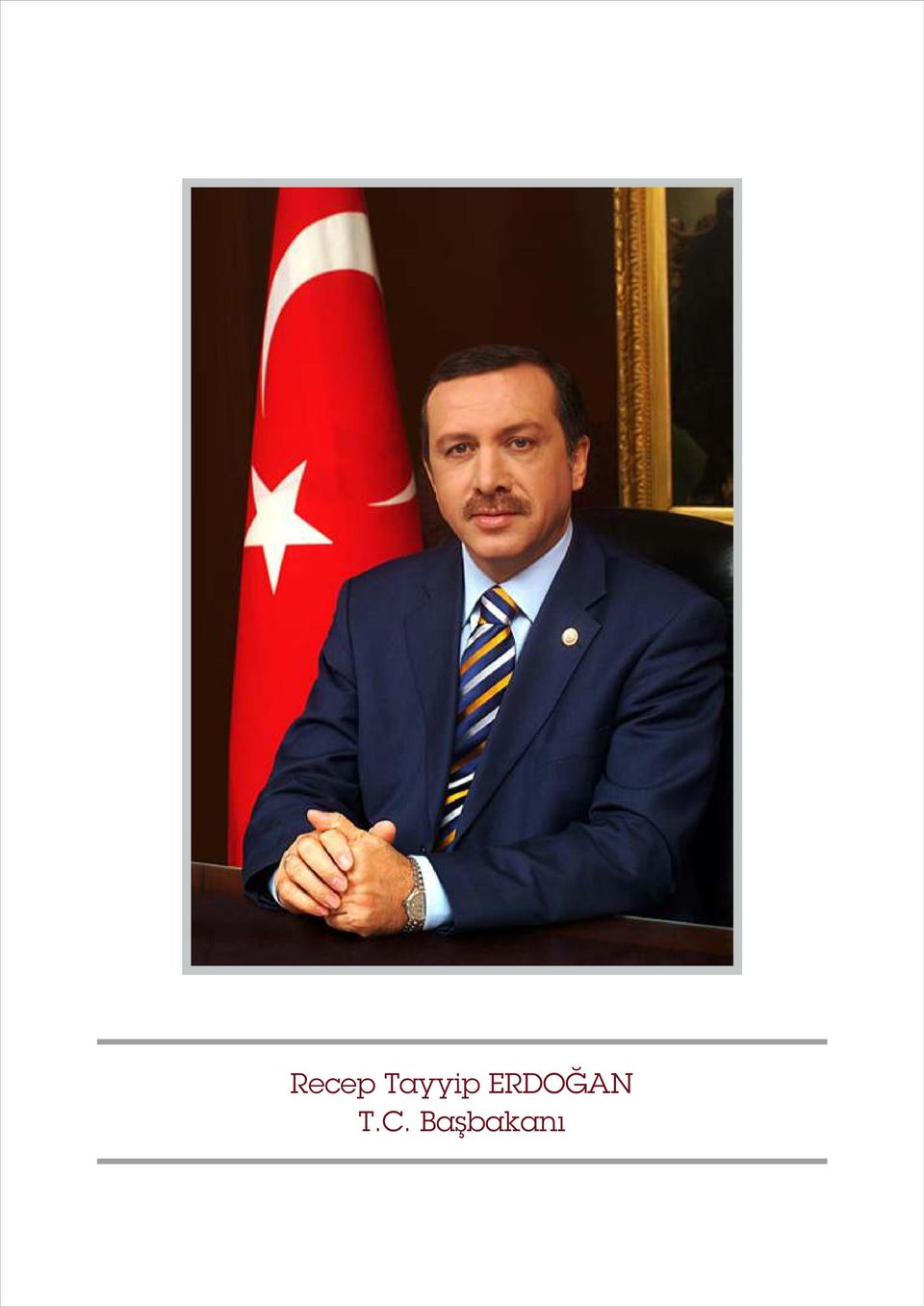 ERDOĞAN T.