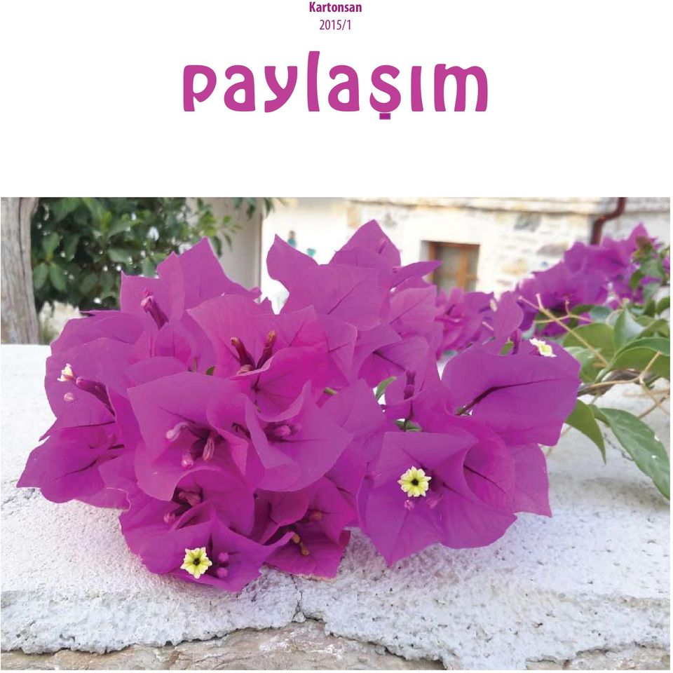 paylasım