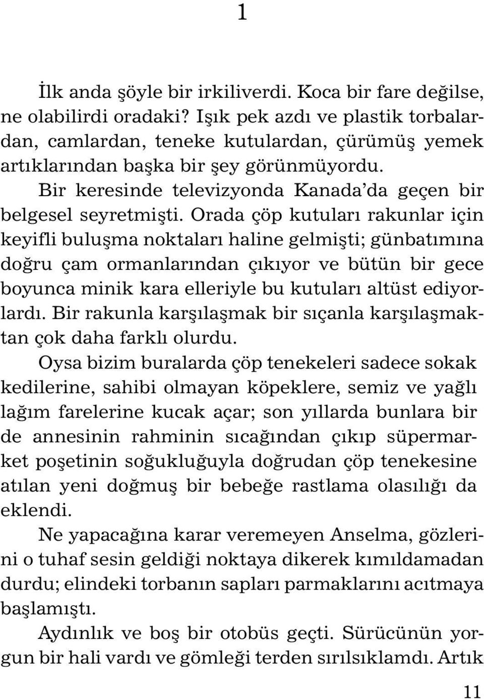 Orada çöp kutuları rakunlar için keyifli buluşma noktaları haline gelmişti; günbatımına doğru çam ormanlarından çıkıyor ve bütün bir gece boyunca minik kara elleriyle bu kutuları altüst ediyorlardı.