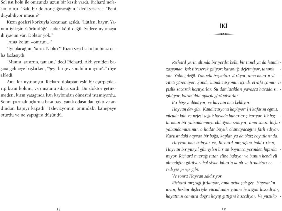 M mm, san r m, tamam, dedi Richard. Akl yeniden bafl na gelmeye bafllarken, fiey, bir fley sorabilir miyim?.. diye ekledi. Ama k z uyumufltu.
