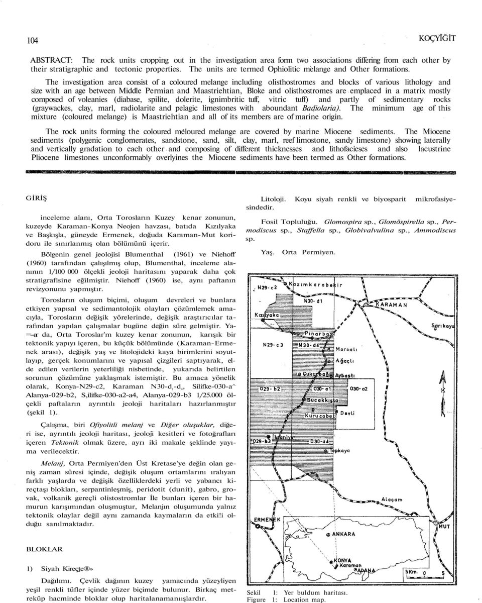 The investigation area consist of a coloured melange including olisthostromes and blocks of various lithology and size with an age between Middle Permian and Maastriehtian, Bloke and olisthostromes