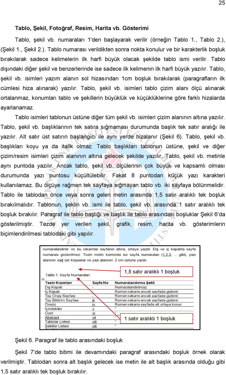 Tablo dışındaki diğer şekil ve benzerlerinde ise sadece ilk kelimenin ilk harfi büyük yazılır. Tablo, şekil vb.