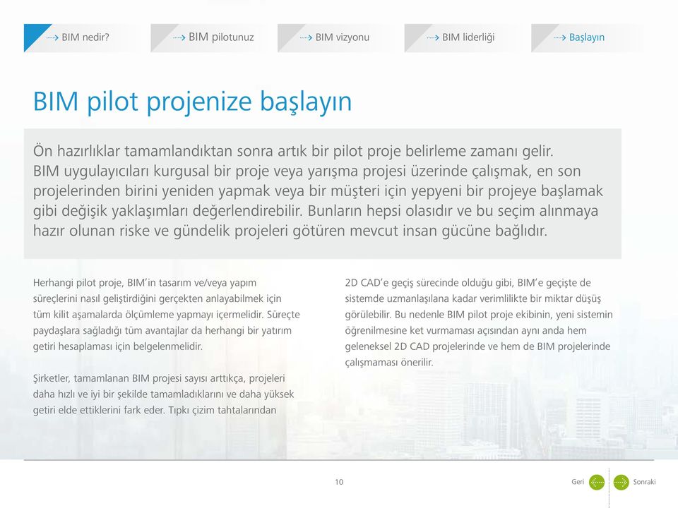 değerlendirebilir. Bunların hepsi olasıdır ve bu seçim alınmaya hazır olunan riske ve gündelik projeleri götüren mevcut insan gücüne bağlıdır.