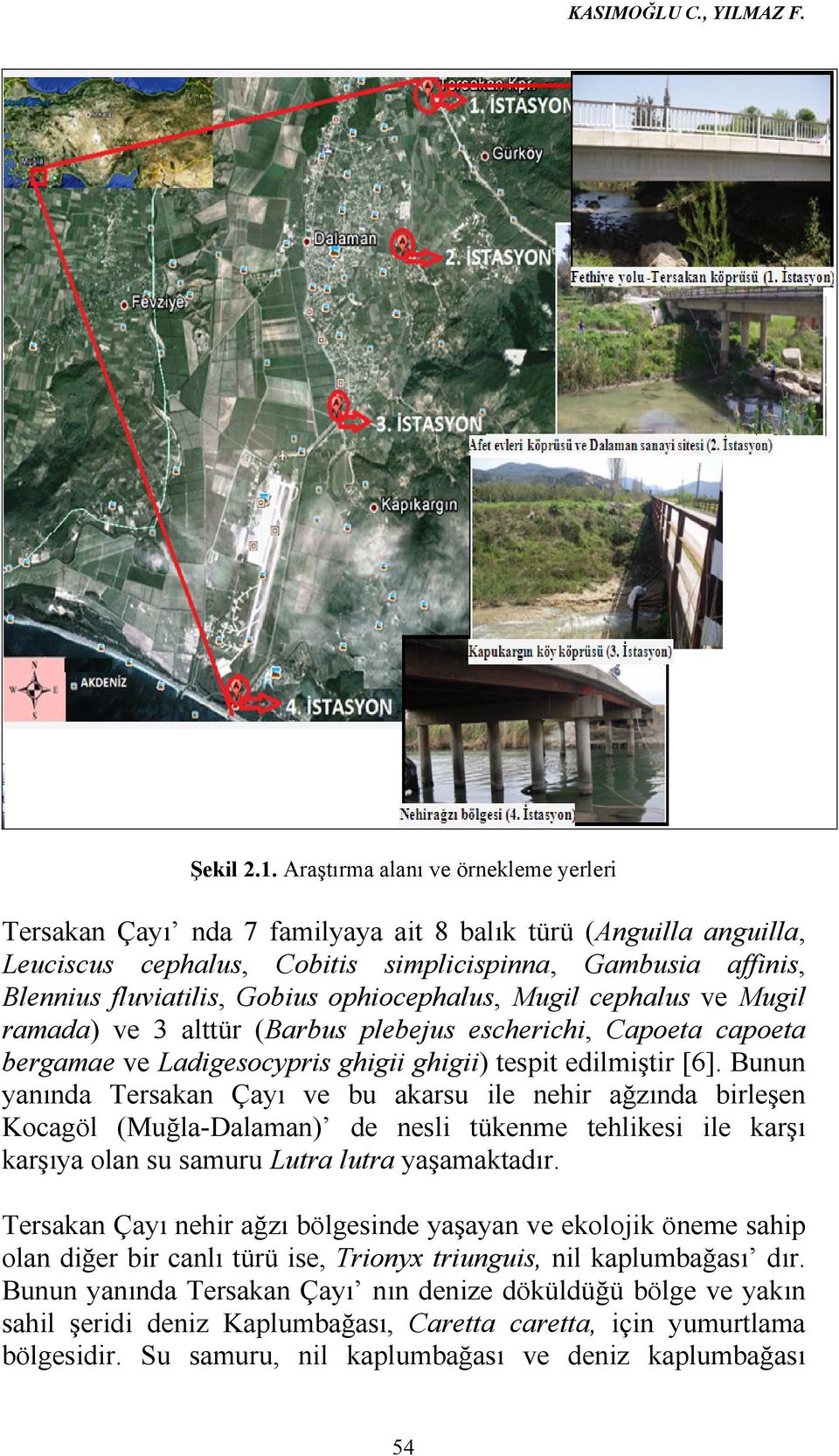 ophiocephalus, Mugil cephalus ve Mugil ramada) ve 3 alttür (Barbus plebejus escherichi, Capoeta capoeta bergamae ve Ladigesocypris ghigii ghigii) tespit edilmiştir [6].