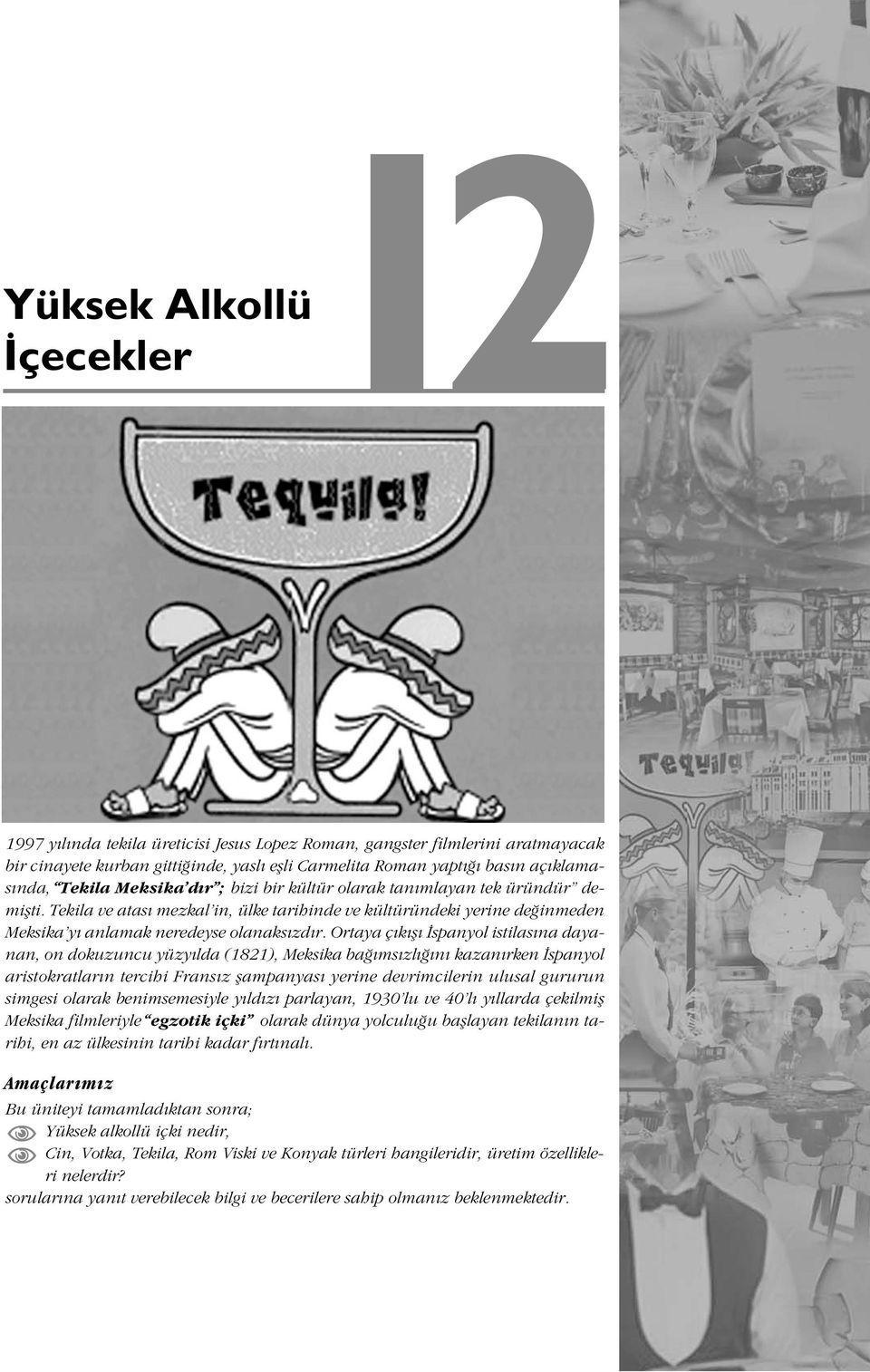 Ortaya ç k fl spanyol istilas na dayanan, on dokuzuncu yüzy lda (1821), Meksika ba ms zl n kazan rken spanyol aristokratlar n tercihi Frans z flampanyas yerine devrimcilerin ulusal gururun simgesi