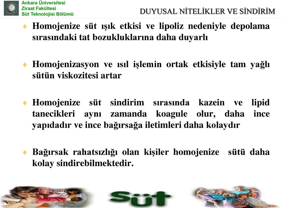 Homojenize süt sindirim sırasında kazein ve lipid tanecikleri aynı zamanda koagule olur, daha ince yapıdadır ve