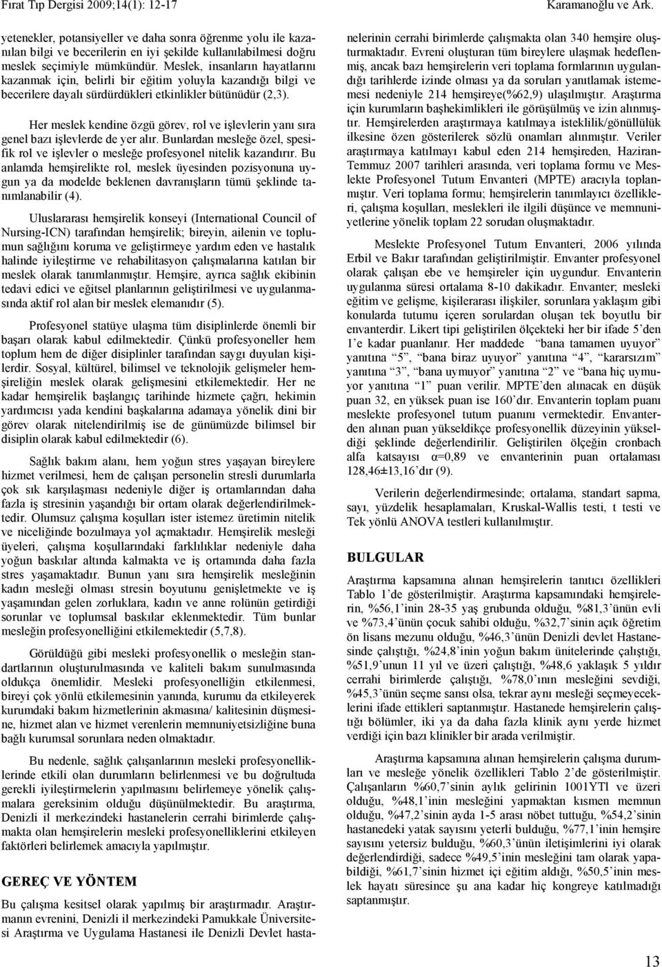 Her meslek kendine özgü görev, rol ve işlevlerin yanı sıra genel bazı işlevlerde de yer alır. Bunlardan mesleğe özel, spesifik rol ve işlevler o mesleğe profesyonel nitelik kazandırır.