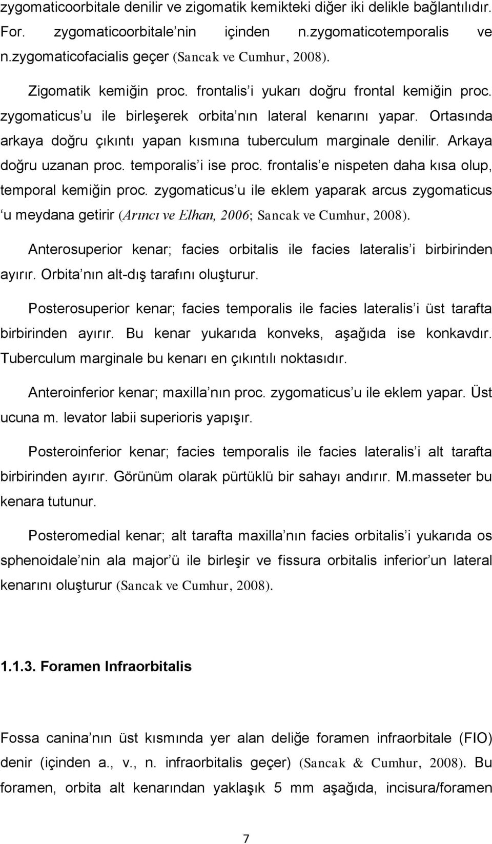 Ortasında arkaya doğru çıkıntı yapan kısmına tuberculum marginale denilir. Arkaya doğru uzanan proc. temporalis i ise proc. frontalis e nispeten daha kısa olup, temporal kemiğin proc.