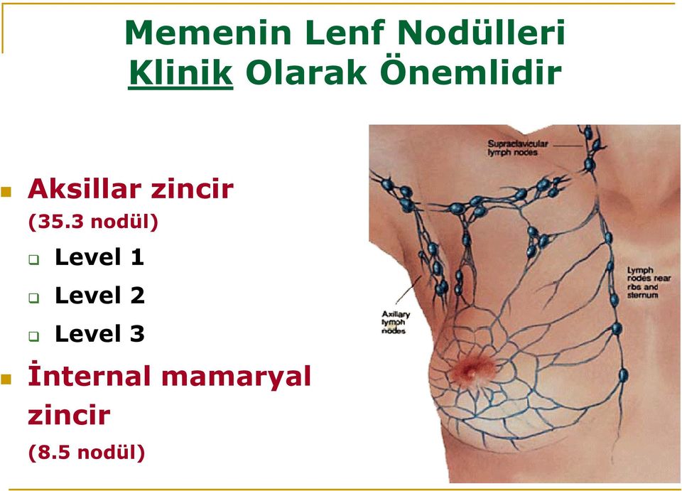 (35.3 nodül) Level 1 Level 2