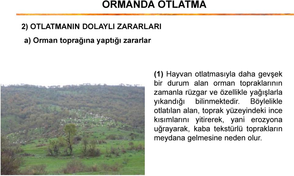 yağışlarla yıkandığı bilinmektedir.