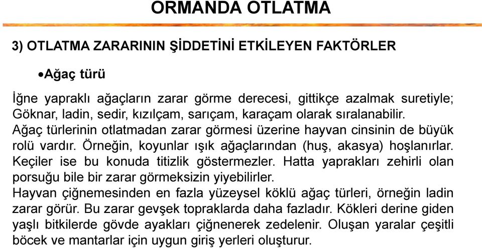 Keçiler ise bu konuda titizlik göstermezler. Hatta yaprakları zehirli olan porsuğu bile bir zarar görmeksizin yiyebilirler.