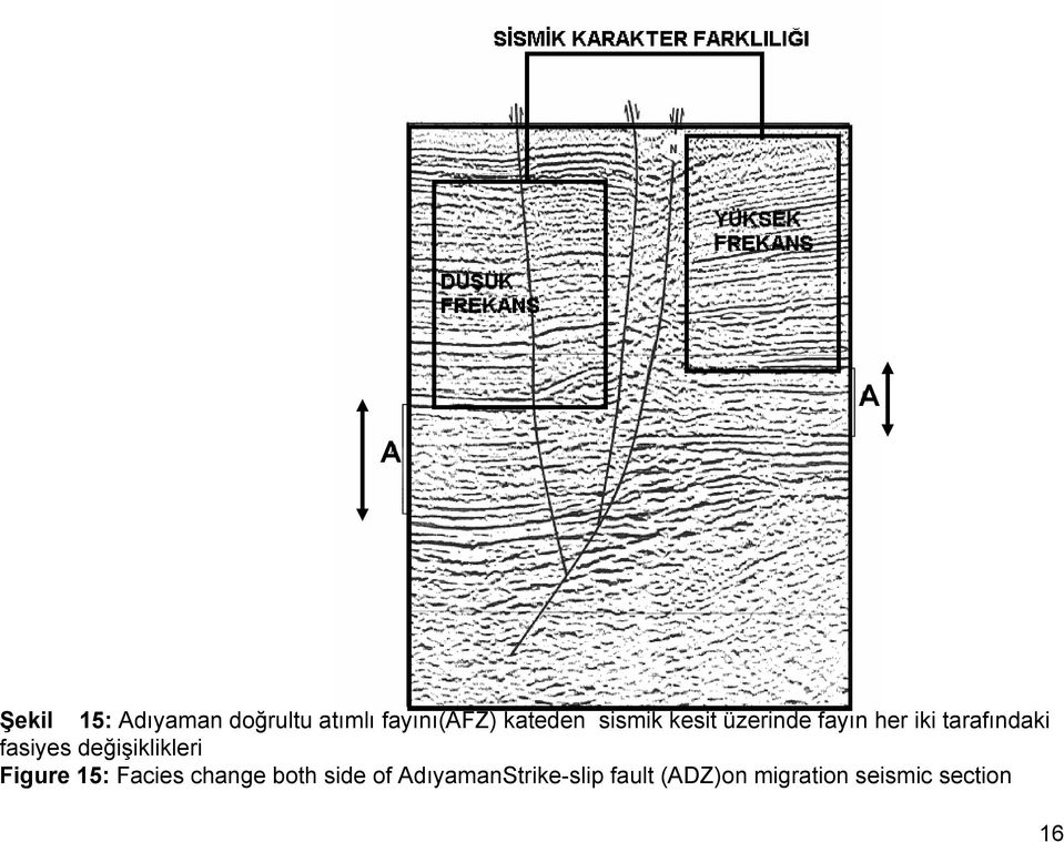 fasiyes değişiklikleri Figure 15: Facies change both side