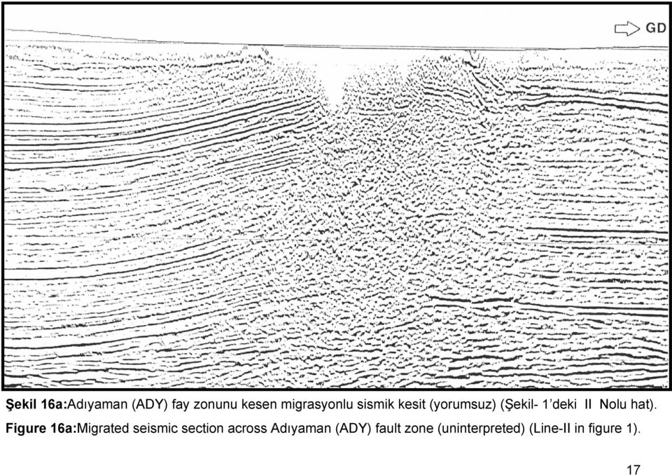 Figure 16a:Migrated seismic section across Adıyaman