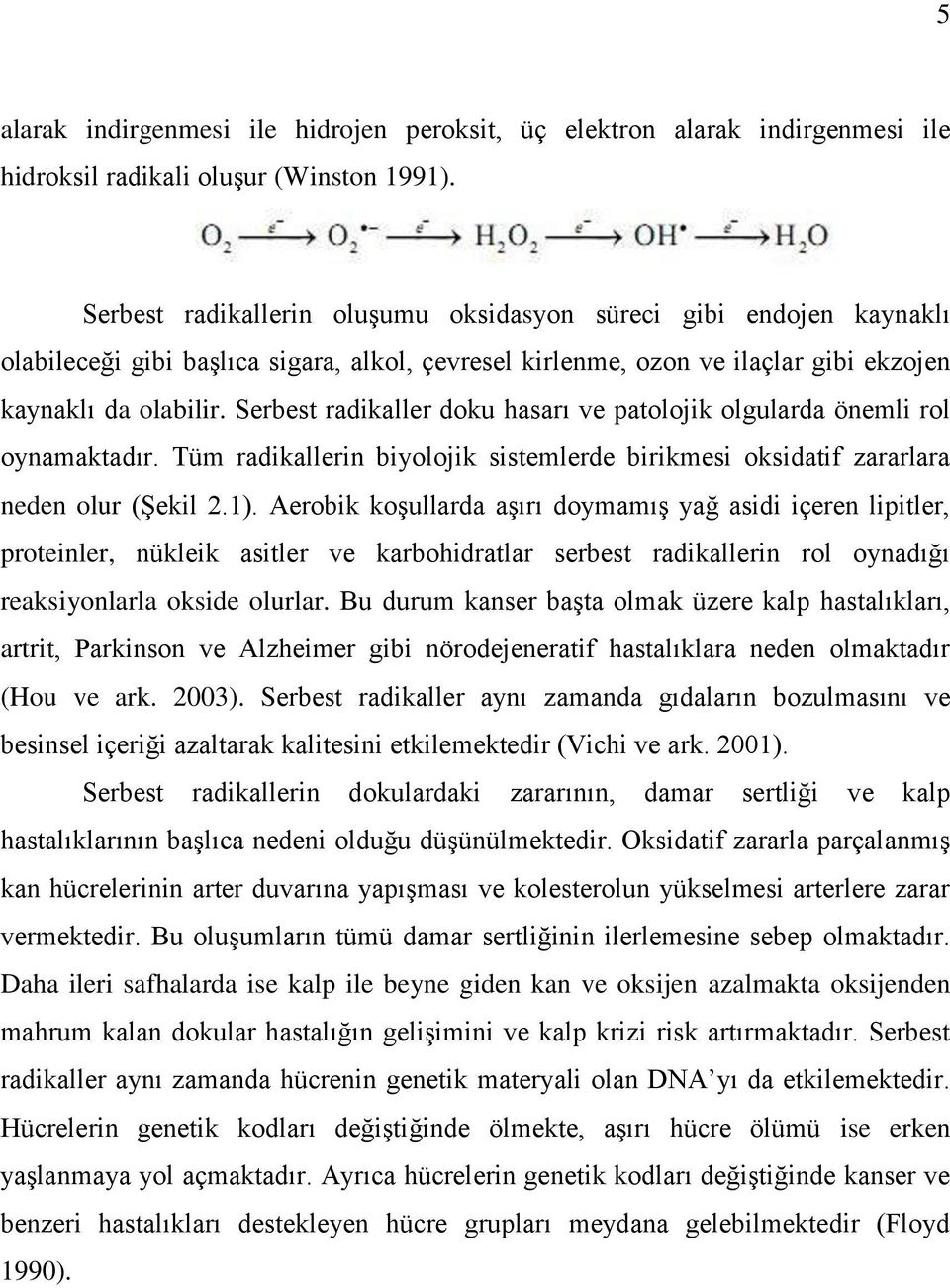 Serbest radikaller doku hasarı ve patolojik olgularda önemli rol oynamaktadır. Tüm radikallerin biyolojik sistemlerde birikmesi oksidatif zararlara neden olur (Şekil 2.1).