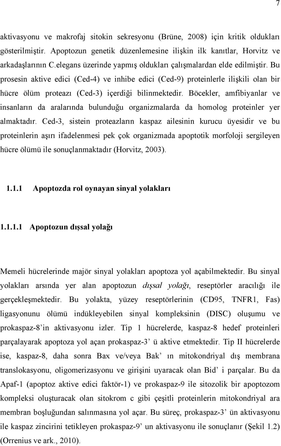 Bu prosesin aktive edici (Ced-4) ve inhibe edici (Ced-9) proteinlerle ilişkili olan bir hücre ölüm proteazı (Ced-3) içerdiği bilinmektedir.