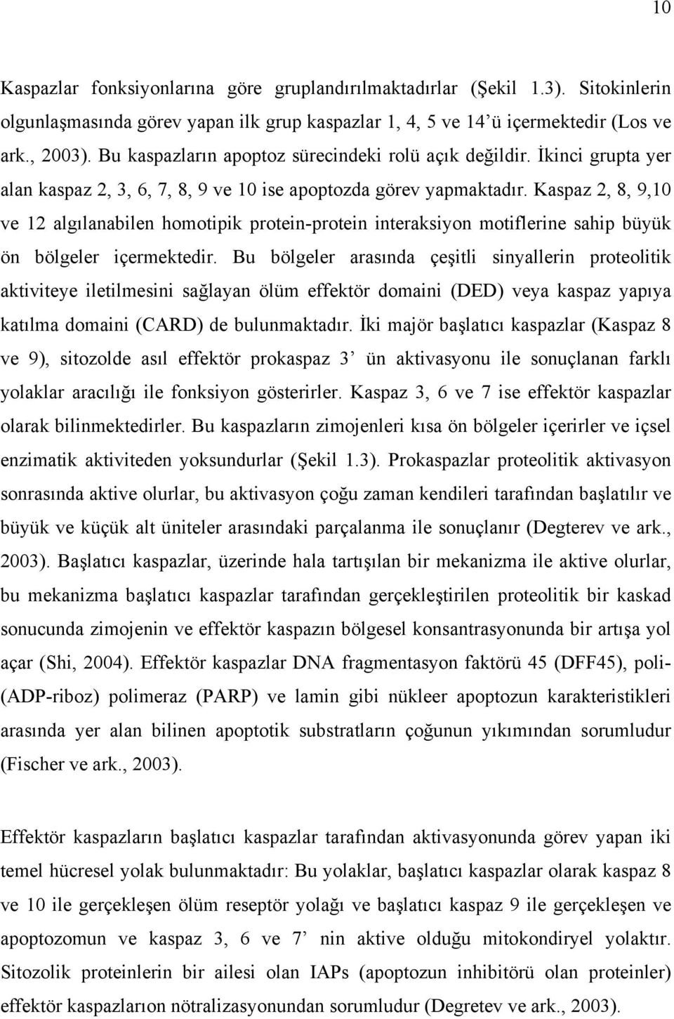 Kaspaz 2, 8, 9,10 ve 12 algılanabilen homotipik protein-protein interaksiyon motiflerine sahip büyük ön bölgeler içermektedir.