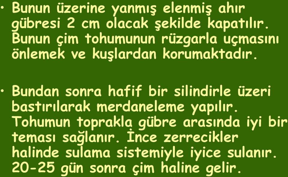 Bundan sonra hafif bir silindirle üzeri bastırılarak merdaneleme yapılır.