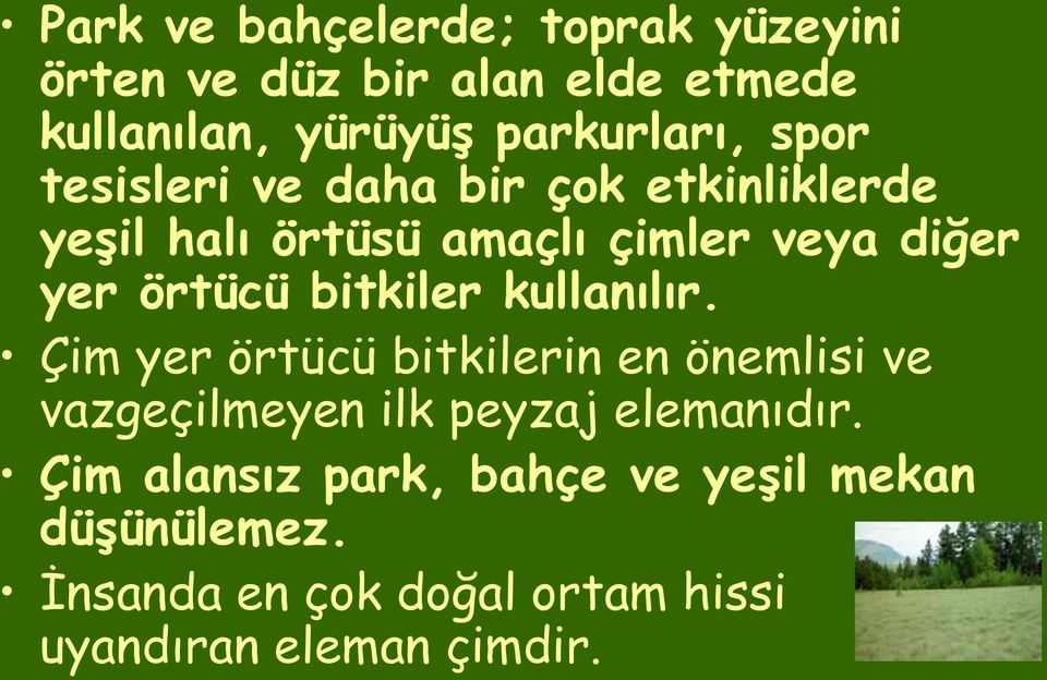 bitkiler kullanılır. Çim yer örtücü bitkilerin en önemlisi ve vazgeçilmeyen ilk peyzaj elemanıdır.