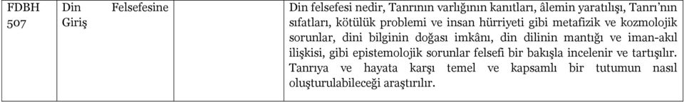 doğası imkânı, din dilinin mantığı ve iman-akıl ilişkisi, gibi epistemolojik sorunlar felsefi bir bakışla