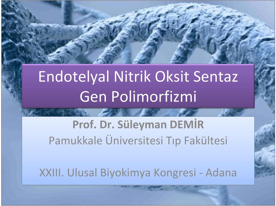 Süleyman DEMİR Pamukkale Üniversitesi