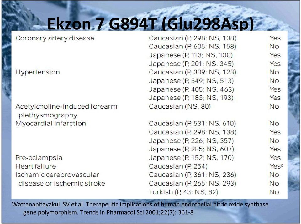 Therapeutic implications of human endothelial