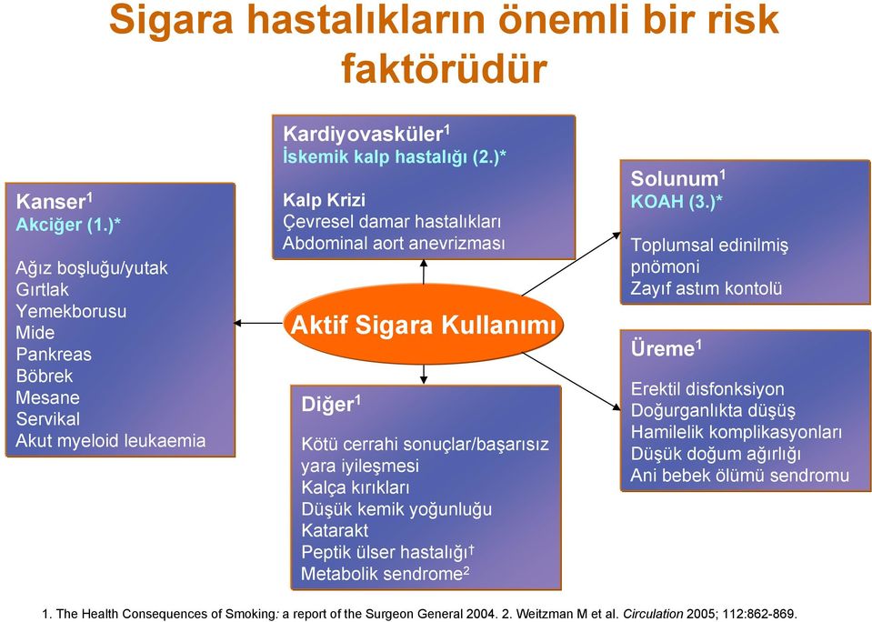 )* Kalp Krizi Çevresel damar hastalıkları Abdominal aort anevrizması Aktif Sigara Kullanımı Diğer 1 Kötü cerrahi sonuçlar/başarısız yara iyileşmesi Kalça kırıkları Düşük kemik yoğunluğu