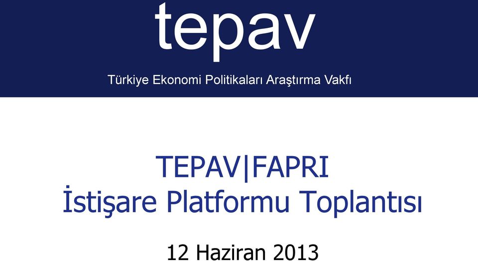 Vakfı TEPAV FAPRI İstişare