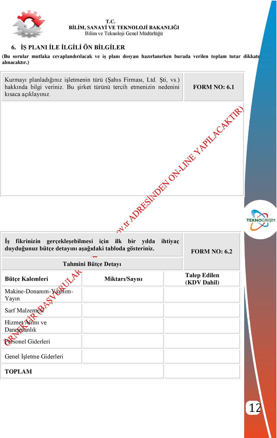 FORM NO: 6.1 ĠĢ fikrinizin gerçekleģebilmesi için ilk bir yılda ihtiyaç duyduğunuz bütçe detayını aģağıdaki tabloda gösteriniz.